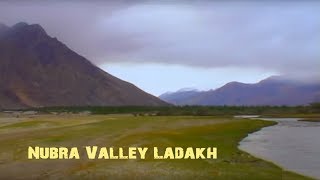 Inspiring Nubra Valley Ladakh