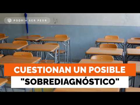 Récord histórico: Alumnos con necesidades educativas representan el 13,38%
