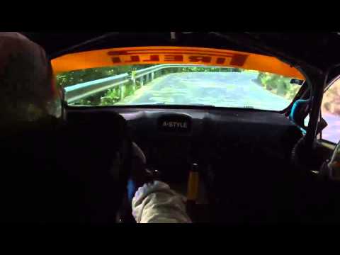 CameraCar Rally Ronde del Ticino 2013 Rigamonti - Rocchi Ford Fiesta S 2000