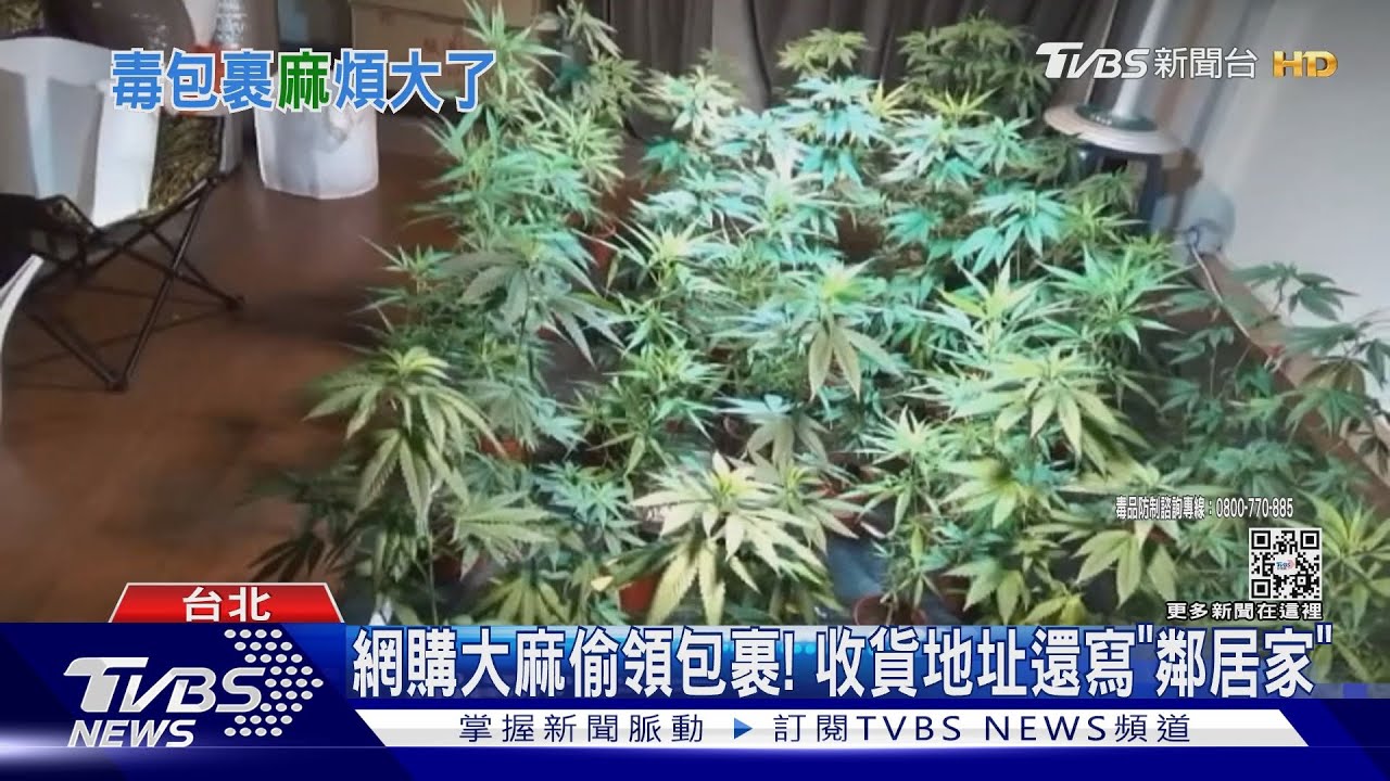 網購大麻偷領包裹！　收貨地址還寫「鄰居家」