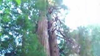 Sunset Not Forgotten