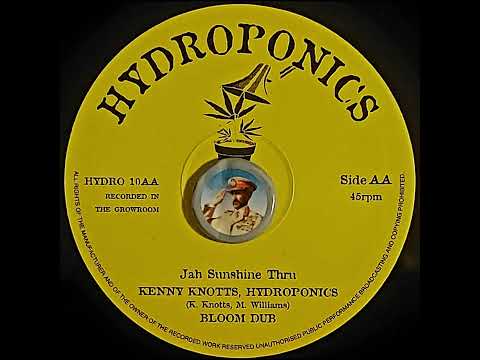 Kenny Knotts - Jah Sunshine Thru - Hydroponics - TOPDON SELECTIONS