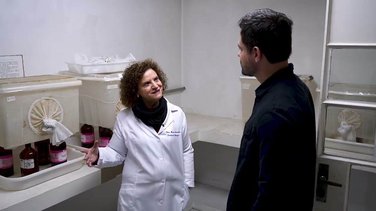 Soluções Sustentáveis: Como controlar parasitas na pecuária sem excesso de produtos químicos