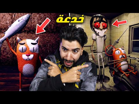 هذا القط المسكين فقد كل أسنانه لهذا السبب .. 😳 | Coco The Scaredy Cat