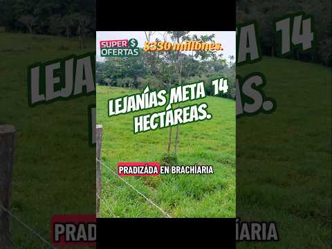 lejanias meta 14 hectáreas solo terreno #fincallanosariari #realestate #terrenobarato #lejaniasmeta