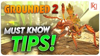20 Tips I Wish I Knew on Day One | Grounded 2