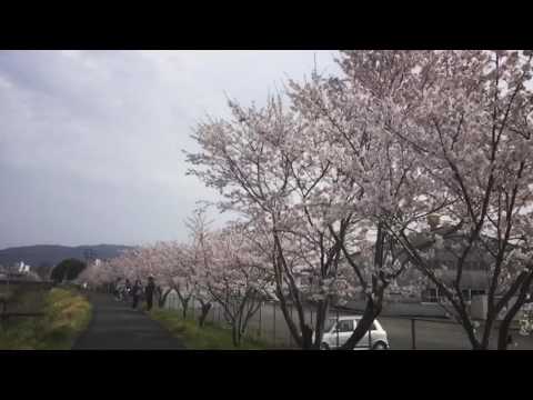 #bikeforbread to Boulangerie Lapain