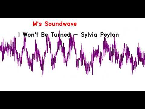 I Won't Be Turned - Sylvia Peyton