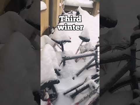 Finnish seasons explained