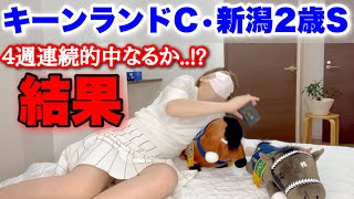 【キーンランドC/新潟2歳S】4週連続的中なるか…!?