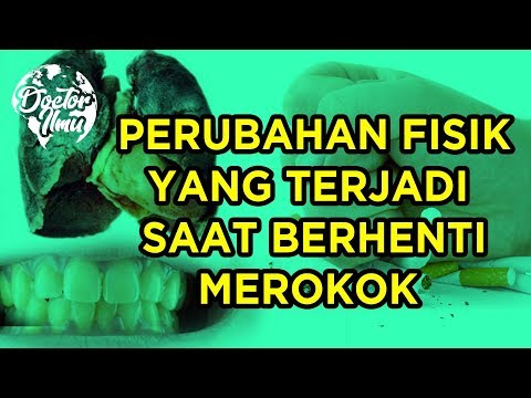 Cara Berhenti Merokok Sekaligus, artikel Cara Berhenti Merokok Sekaligus gratis, video trending Cara Berhenti Merokok Sekaligus