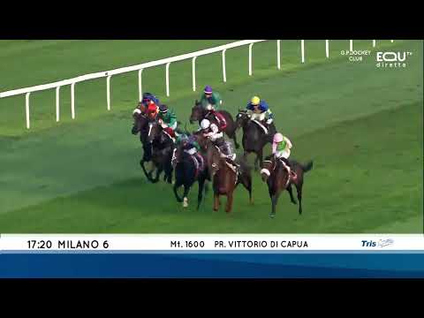 Premio Vittorio Di Capua - Gruppe 2