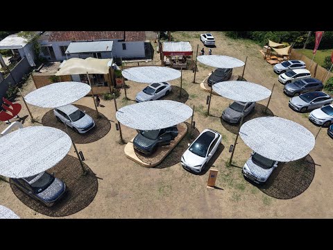 Manantiales Maldonado BYD 