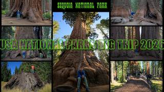 USA National Parks 2026. Part 1: Sequoia NP - Parque Nacional de las Secuoyas