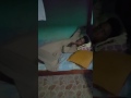 Tukif Ou Tukif Pas