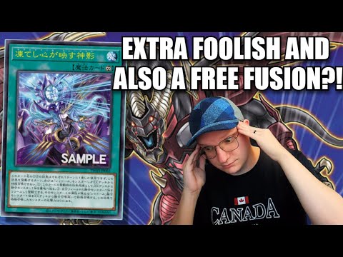 THIS SHADDOLL SUPPORT IS ABSURDLY GOOD.