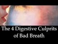 The 4 Gut Culprits of Halitosis- bad breath