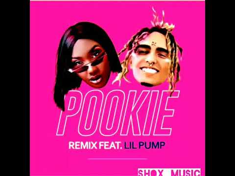 Aya Nakamura ft lil Pump pookie Remix
