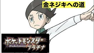 ポケモンプラチナ！金ネジキ