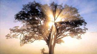 Marcos Barrientos señor eres fiel