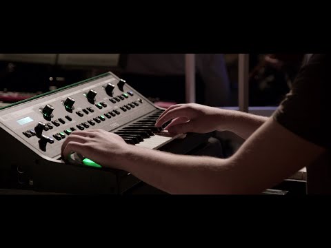 Stadtrausch - IV. Changes & Reprise