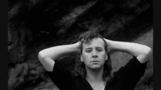 Simple Minds - Book of Brilliant Things