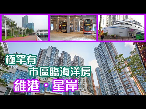 ç»´æ¸¯ æ˜Ÿå²¸ çº¢ç£¡ å±‹è‹'ä¸