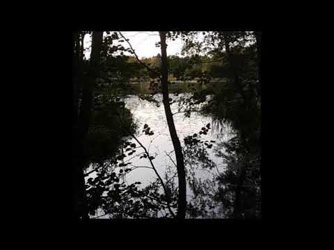 92. Bones - Numb (ft. Ralph Castelli) (biocide flip) [29.02.2020]