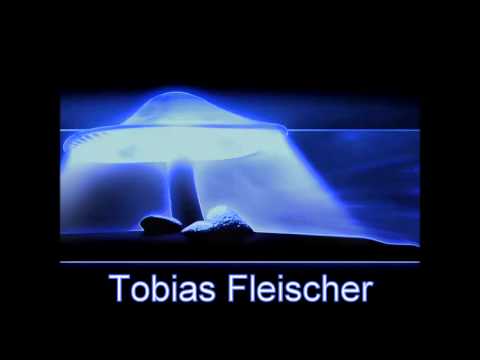 Tobias Fleischer - Buschtrommel