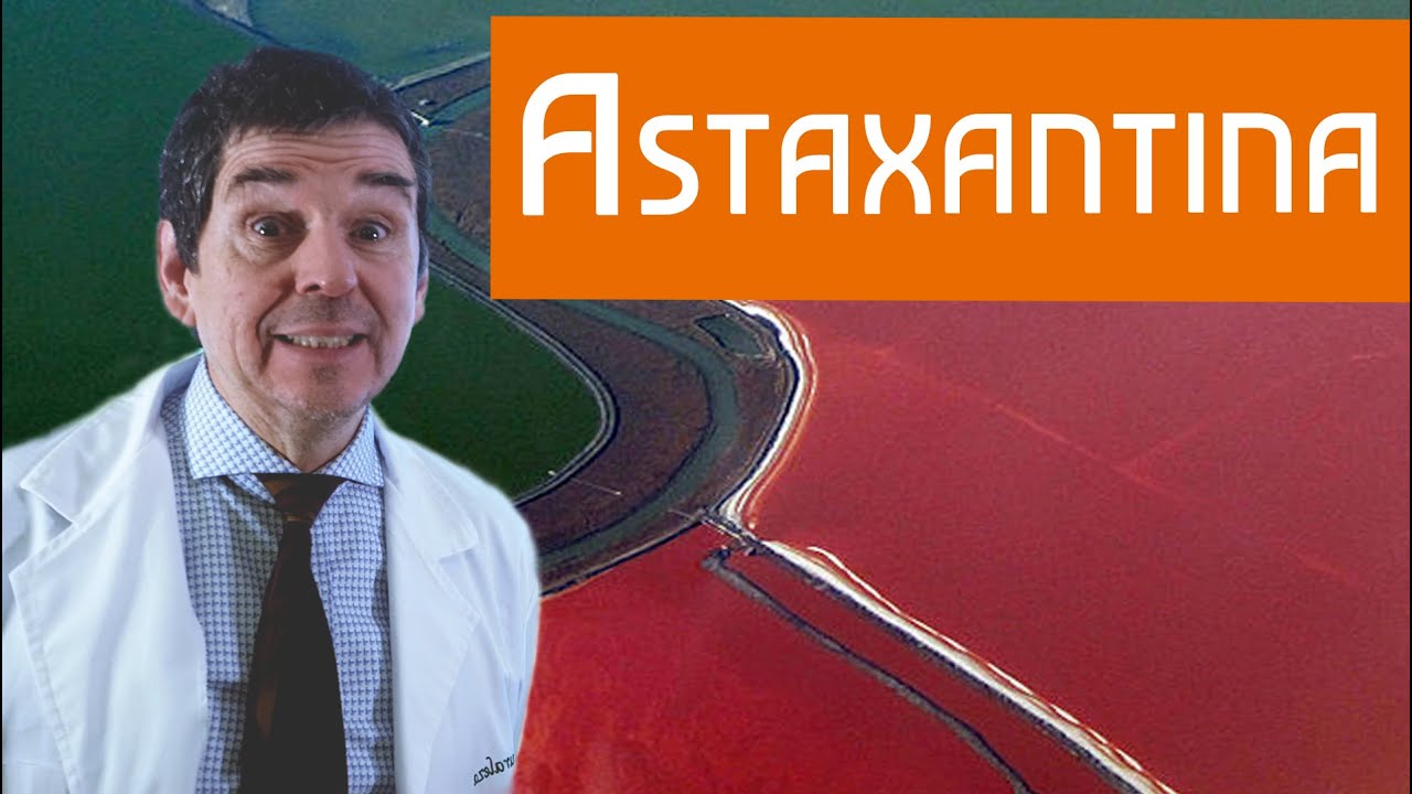 Qué es la Astaxantina. Todo lo que necesitas saber.