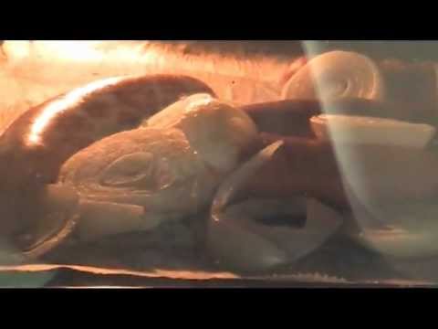 kunnon iltapala 21.5,112