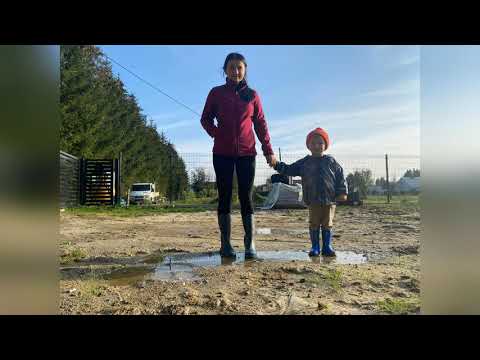 Budowa domu zenon polo 2. house construction