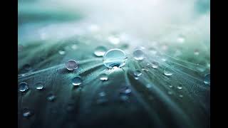 Where Do I Even Start ? · Morgan Taylor Reid | (Rain edition)