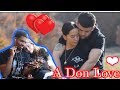 💗A Don Love💙 | Noizy ft Dafina Zeqiri (Reaction) 💗A Don Love💙 | Noizy ft Dafina Zeqiri (Reaction)