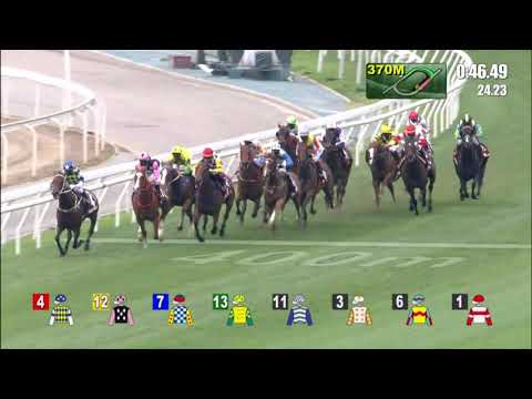 25/4/2021 (617) Wellington - Alexis Badel (G1, The Chairman's Sprint Prize)