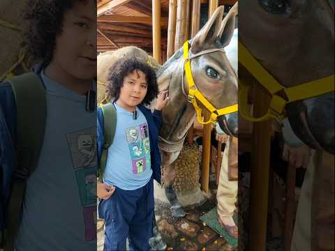 De visita en H Ispania Antioquia #vlog #turismo