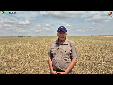 Ontdek hoe Kynoch boere se oespotensiaal verbeter