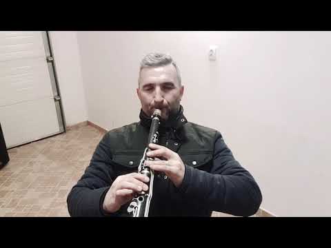 Instrumentală la taragot ~Călin Borșe Nu-i lumină nicaieri