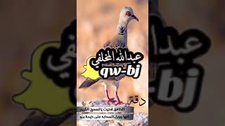 انا والله مابيعك ولو كل البشر بعوك احفظ العهد ماخونه ومهما طال هجرانك تصميم على القمري