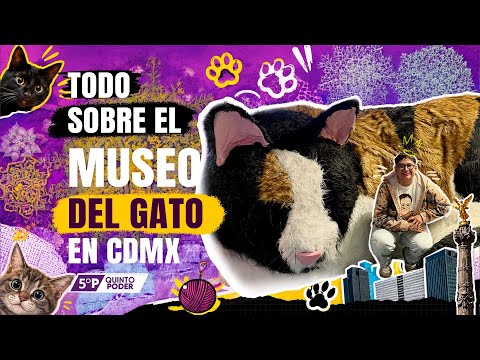 Thumbnail 70504