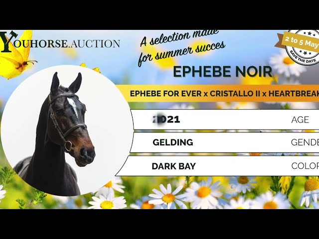 Ephebe Noir flatwork