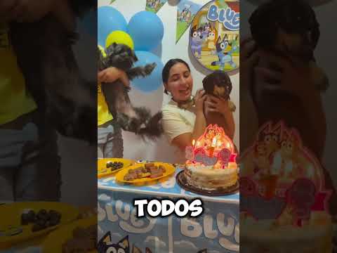 😂🐶 ¡¡Celos perrunos en plena fiesta!! #youtubeshorts #funny #popular #animals