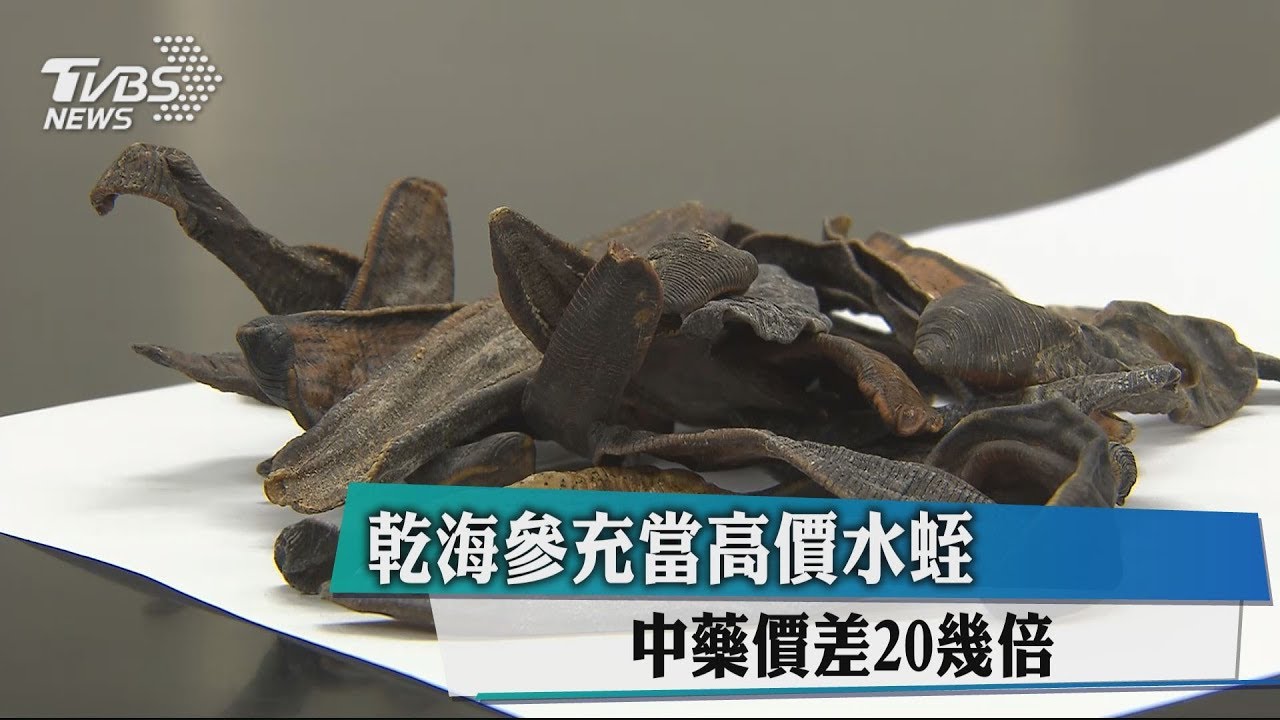 乾海參充當高價水蛭 中藥價差20幾倍