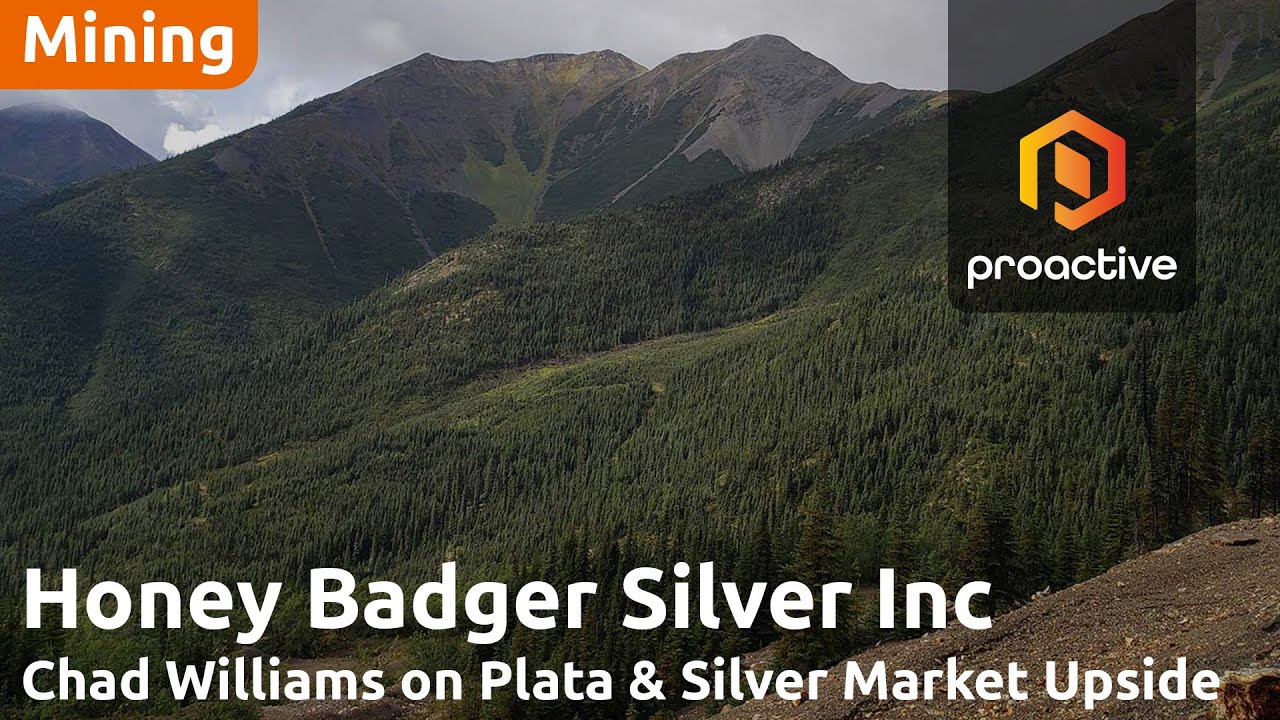 Honey Badger Silver highlights exploration progress at Plata and Nanisivik projects