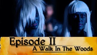 Suspension of Disbelief: Episode 2. A Walk in the Woods