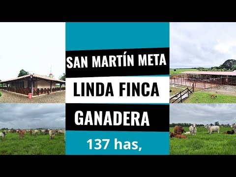 Espectacular finca ganadera en san martín meta #fincallanosariari #realestate #sanmartinmeta