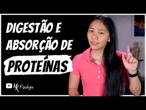 Digestão e absorção de proteínas | MK Fisiologia