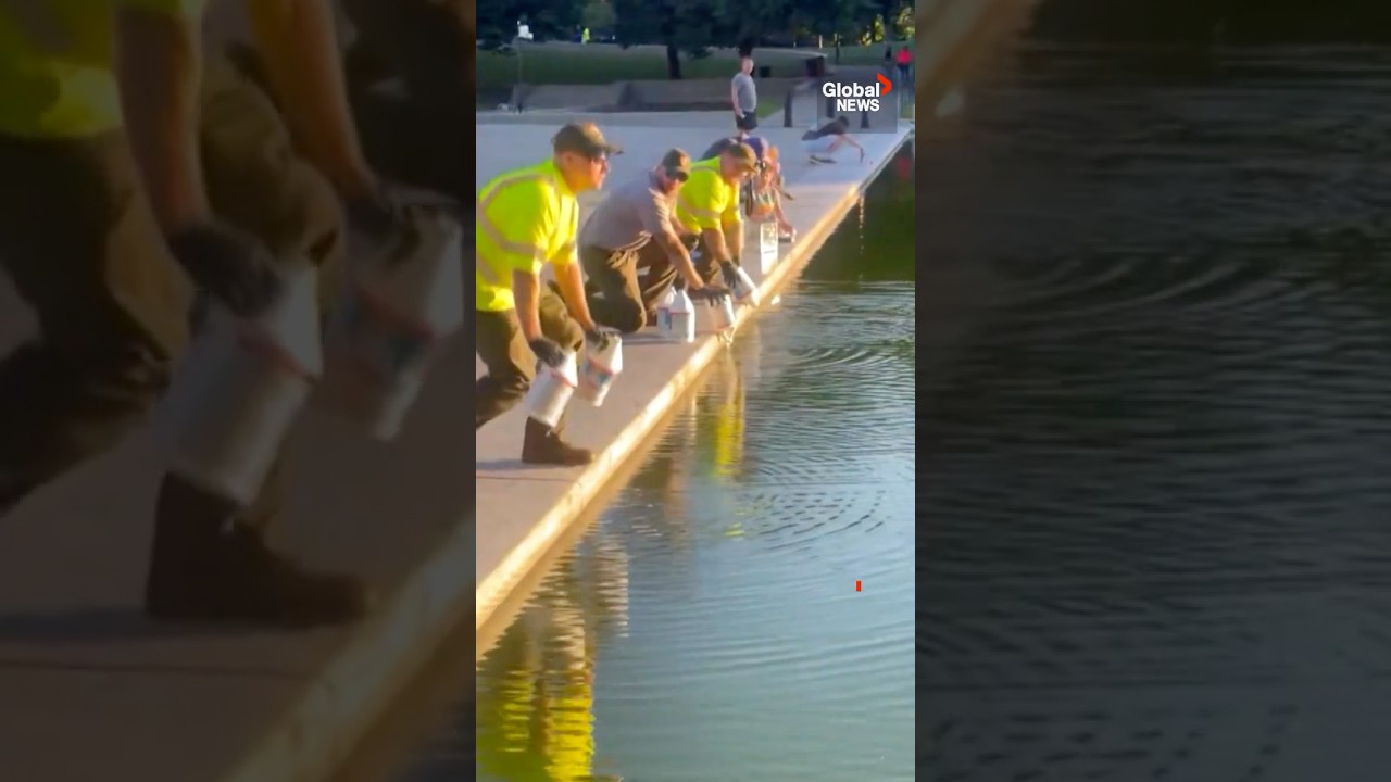 Video: Hydrogen peroxide used on Lincoln Memorial Reflecting Pool algae bloom after renovation