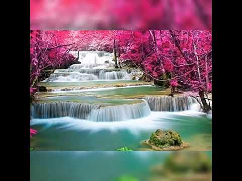 Birth day biswanath.