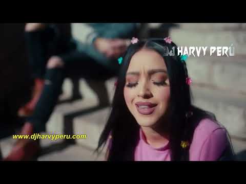 DEMO MEMBRESIA VIDEO REMIXES - DICIEMBRE 2021 (CIERRE DE AÑO) OFERTA !!!